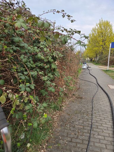 Steinreinigung – VORHER Verschmutzte Pflasterfläche vor der Steinreinigung